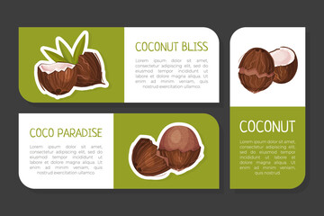 Poster - Coconut Product Label Design with Organic Plant Vector Template