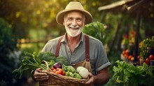 Senior Person Holding A Basket Of Vegetables, Smiling Retired Mature Elderly Man In His Garden With Crop Of Vegetables