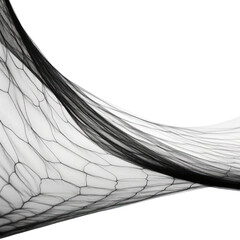 net isolated on transparent background,transparency 