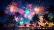 
Bright colorful fireworks, lots of salutes in the beautiful night sky during New Year celebration in a warm southern resort with palm trees