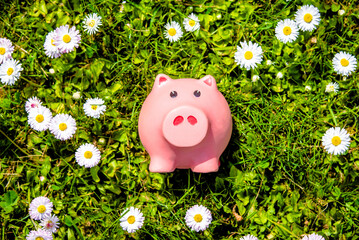 Piggy Bank on the background of blooming daisies
