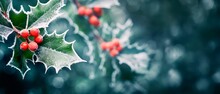 Frosted Holly Berry Christmas  Winter Horizontal  Background. Large Copy Space For Text , Concept For Christmas, Holiday, Celebration, New Year's Eve, Banner Wallpaper