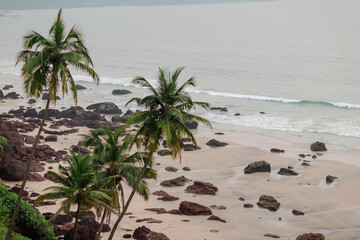 Canvas Print - beach with trees