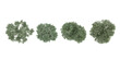 © Saifstock - Olive trees top view on the forest panoramic