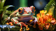Portrait amphibian frog in the garden