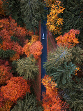 Aerial View Of A Car Driving Along A Straight Road Through An Autumnal Forest, Salzburg, Austria