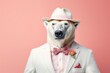 © Fotograf - A picture of a polar bear dressed in a suit and wearing a hat. This image can be used for various purposes, such as advertising, social media posts, or as a fun illustration for articles and blogs