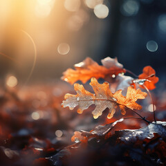 Wall Mural - autumn oak foliage bokeh lights