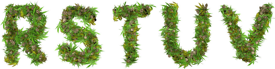 Wall Mural - weed and buds font letters 3d render r s t u v
