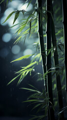 Poster - bamboo over lake at night