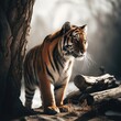 portrait of a tiger in the jungle