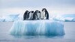 A group of penguins huddled together on an ice floe, bracing against the cold winds.