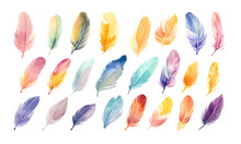 Multicolor Feather Watercolor Hand Drawn Illustration Set