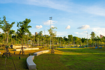 Wall Mural - Green city park tropical tree forest sky with cloud