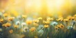 Sunlit Meadow s Delicate Wildflowers, Generative AI