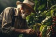 farmer harvests ripe coffee beans from organically grown Arabica and Lobusta coffee trees,Robusta and arabica coffee berries with agriculturist ,generative Ai