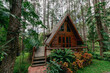 Triangular house built from wood in the forest in the rainy season