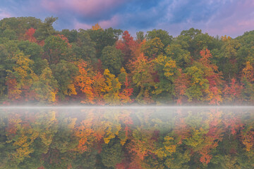 Wall Mural - Foggy autumn landscape at dawn of the shoreline of Hall Lake, Yankee Springs State Park, Michigan, USA