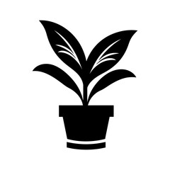 Poster - Dumb Cane plant Icon - Simple Vector Illustration