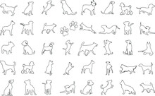 Dog Line Art Vector Illustration Set, Showcasing Various Breeds In Unique Poses. Ideal For Pet Lovers, Dog-themed Designs. Features Poodle, Dalmatian, Bulldog, Terrier, Labrador, Retriever, Beagle, Ch