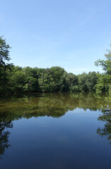 Poster - Maunzenweiher bei Frankfurt