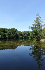 Canvas Print - Maunzenweiher bei Frankfurt