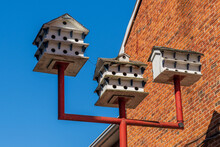 Multi Story Bird Houses On A Post Next To A Red Brick House Purple Martins Nest In Colonies And Prefer Houses With Multiple Rooms