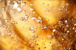 Close up macro shot of bubbles in a glass of champagne sparkling wine