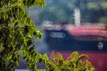 Wall Mural - Green leaves on a branch against the background of a red and black ship in the port