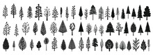 Christmas Tree Set Hand Drawn Illustration. Chritmas Tree Silhouettes. Christmas Pine Trees Silhouette Icon Vector Illustration