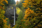 Fototapeta  - Latourell Falls in the Columbia Gorge, Oreron, Taken in Autumn