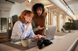 © Flamingo Images - Two businesswomen using a laptop at work