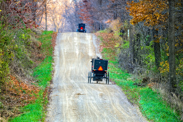 Wall Mural - Two Buggies Late Autumn