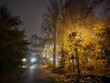 Street near Julianowski Park in Lodz lit with street lamps on a cloudy foggy autumn night, Lodz, Poland.