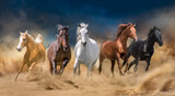 Fototapeta Konie - Horses run forward