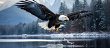 winter as I travel to Alaska I am mesmerized by the breathtaking nature and the tranquil waters that surround me as an eagle soars with incredible speed symbolizing both freedom and power em