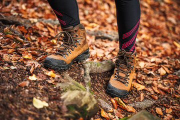 Wall Mural - leather hiking boot. woman in leggings walks in the autumn forest. sport clothing