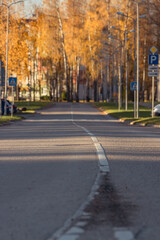 Wall Mural - street in autumn