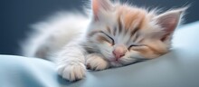 The Cute Kitten With Soft Fur And Perky Ears Laid Peacefully Pets Relaxing Embrace As The Veterinary Clinics Portrait Captured The Domestic Animals Serene Sleep