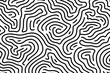 abstract maze pattern with squiggly lines on transparent background