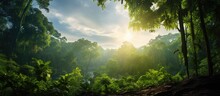 The Lush Green Landscape Of The Tropical Jungle In Thailand Creates A Stunning Backdrop With The Sunlight Filtering Through The Leaves Of The Towering Trees Casting A Beautiful Light On The 