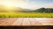 Empty Wood Table And Blurred Rice Field And Mountain Landscape At Morning. Empty Wooden Table With Rice Field And Sunshine
