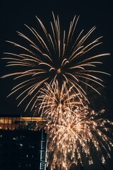 Poster - Vertical shot of the firework show at night in Sweden