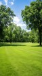  a serene green lawn surrounded by tall trees, with ample copy space in the clear sky above. The image conveys a sense of tranquility and the beauty of nature.