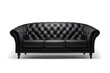 © Elena - Sofa of black color isolated on white background