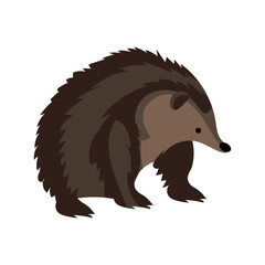 Sticker - australia animal echidna