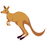 Fototapeta Dinusie - australia animal kangaroo