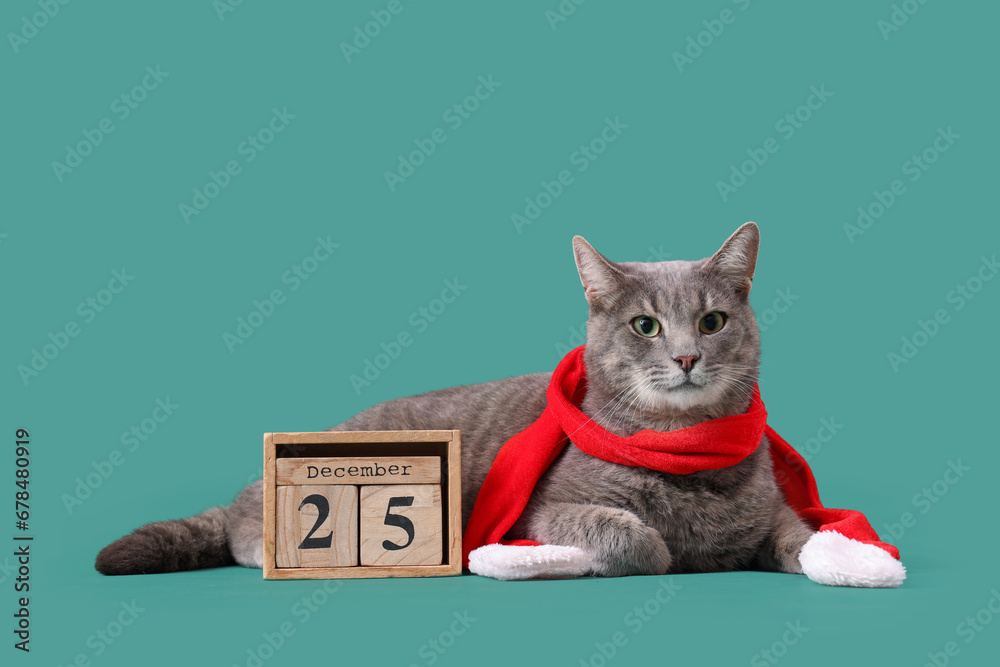 Cute cat with scarf and cube calendar on green background