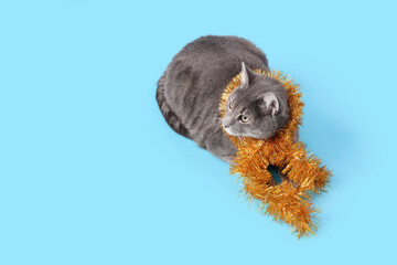 Cute cat with tinsel on blue background