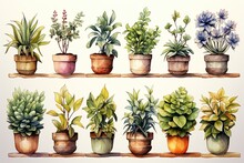 Watercolor Set Of Various House Plants In Clay Pots